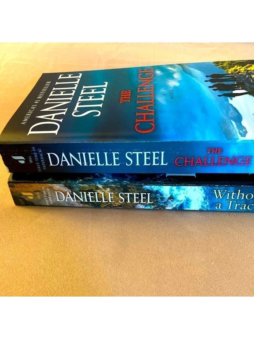 Danielle Steel bundle of two paperback books bestseller